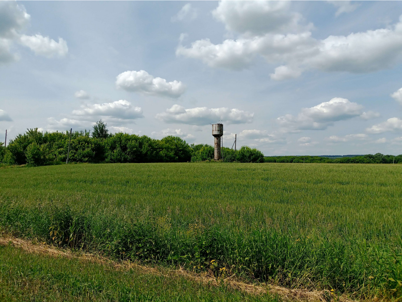 20250612 -600  134715.jpg
