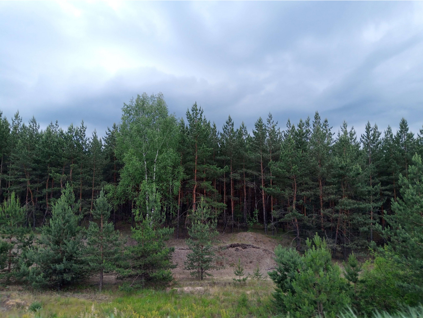 20250613 -600  160447.jpg