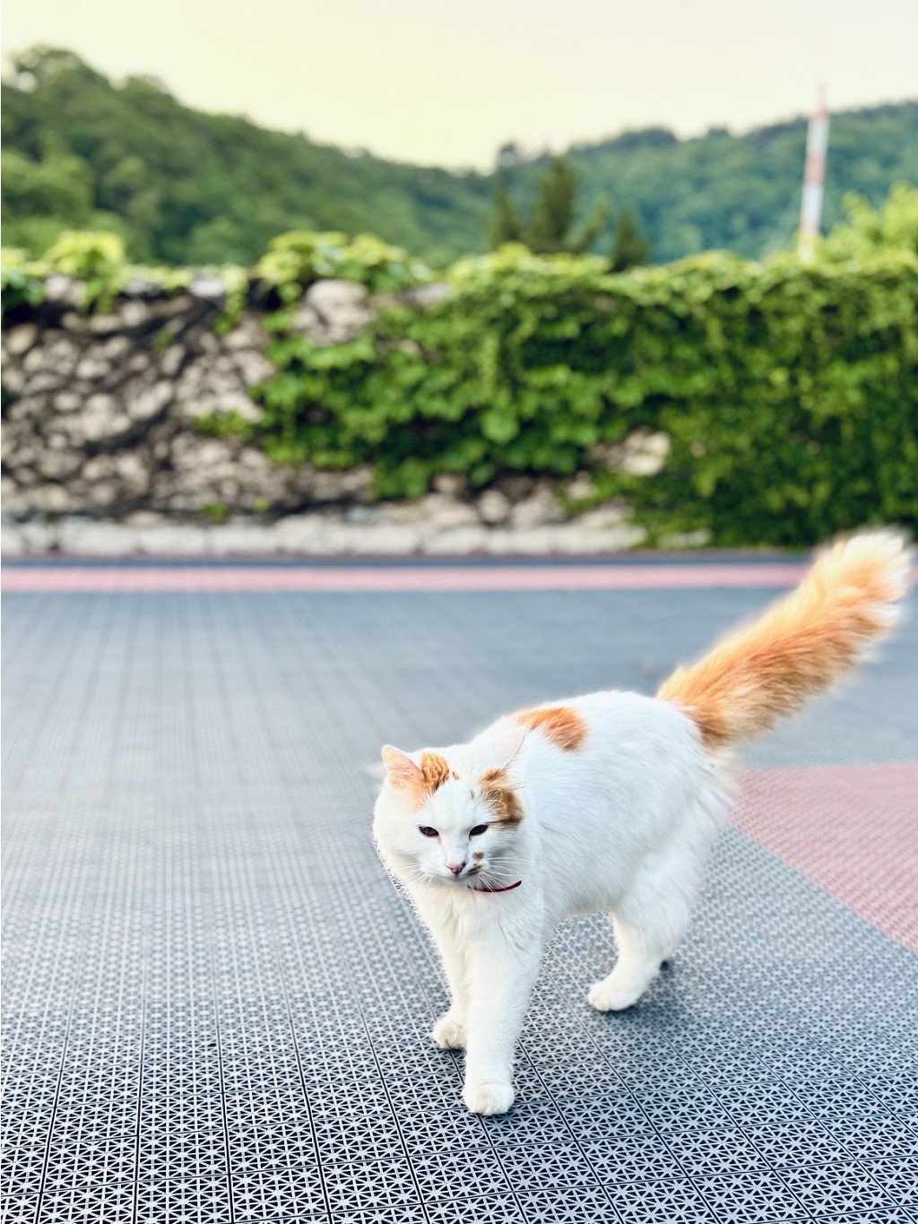 2025-07-07 07-44-58 (75).jpeg