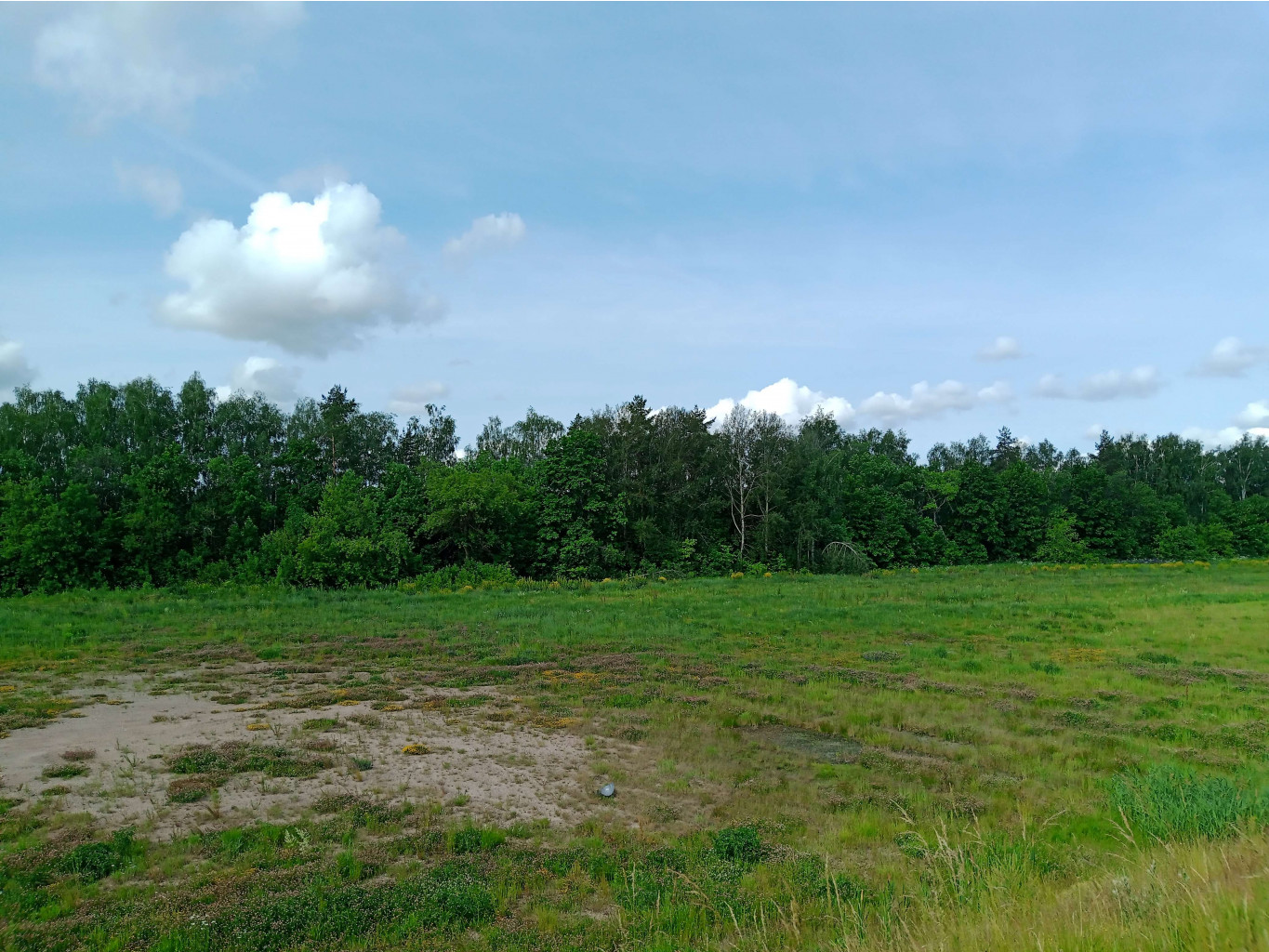 20250612 -600  090450.jpg