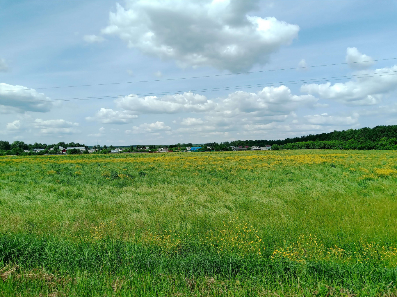 20250612 -600  135759.jpg