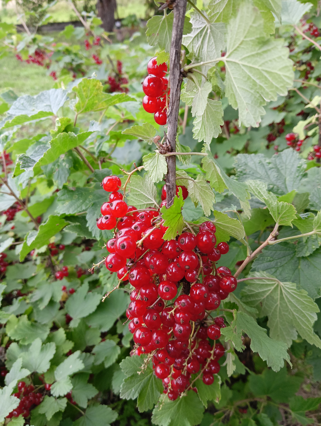 IMG20250706181021.jpg