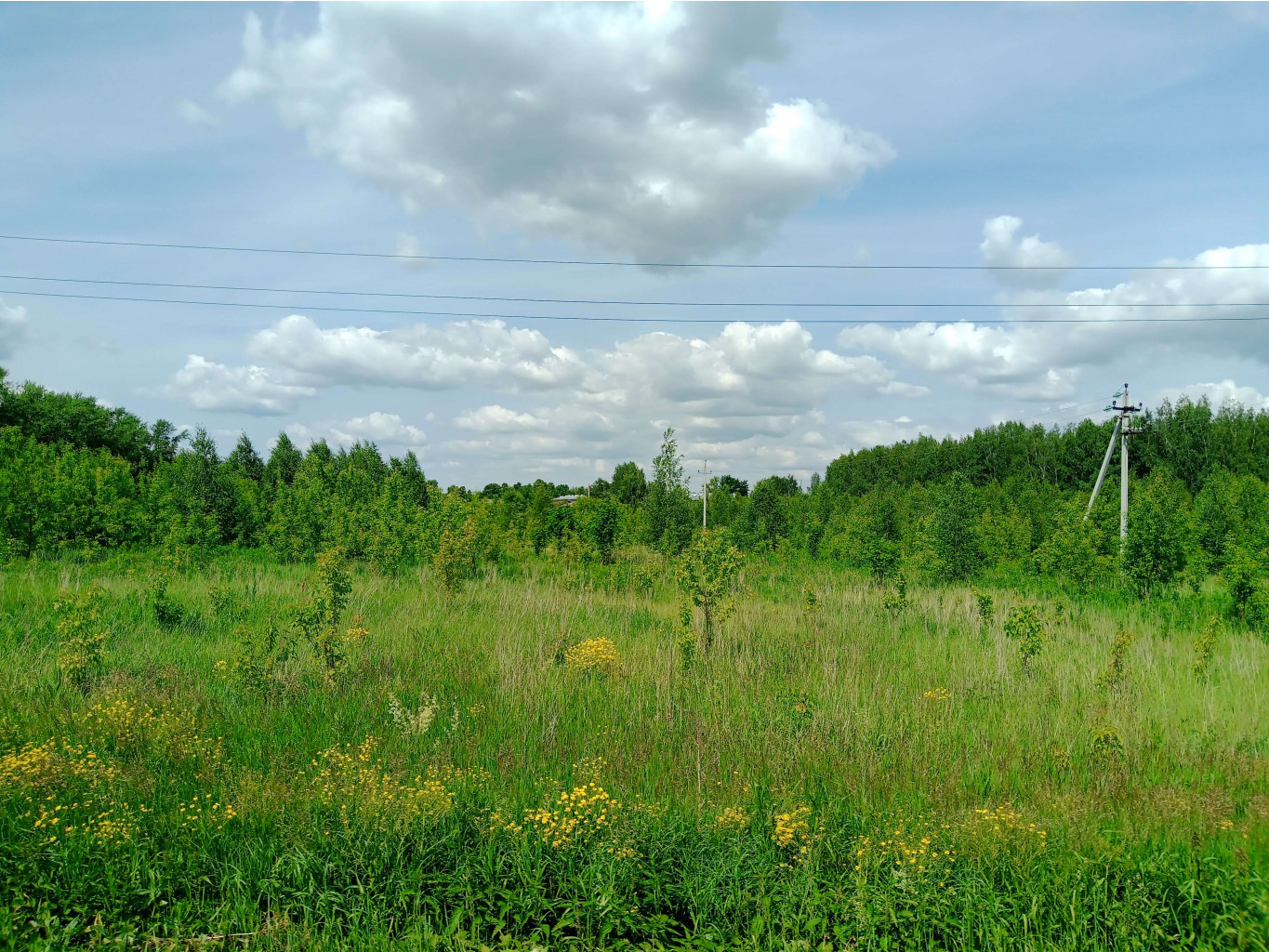 20250612 -600  135859.jpg