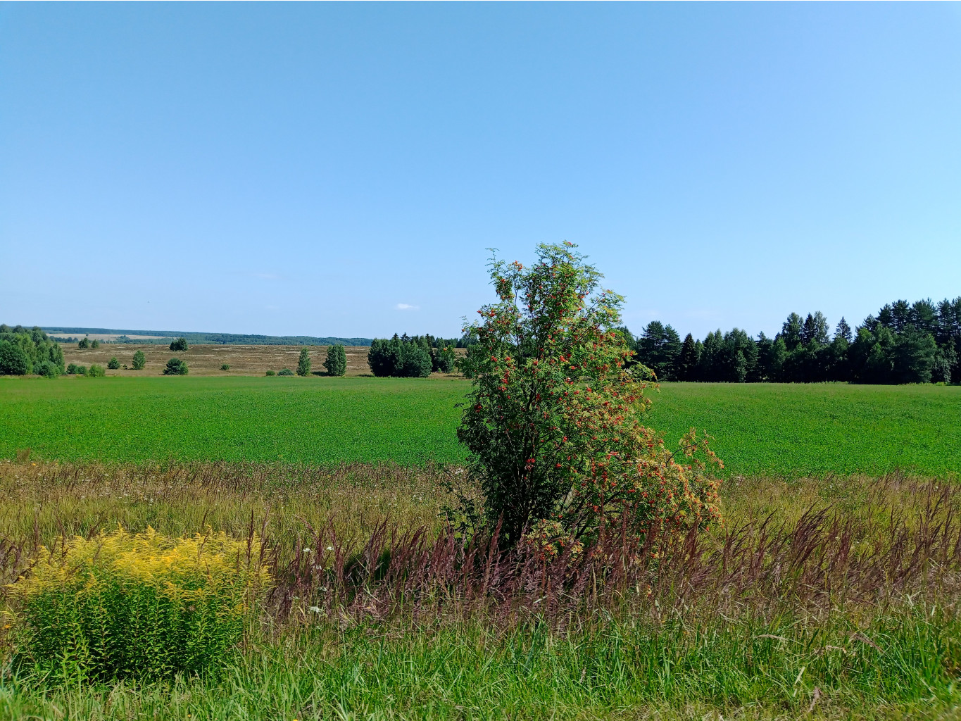 20250726 -600  114214.jpg