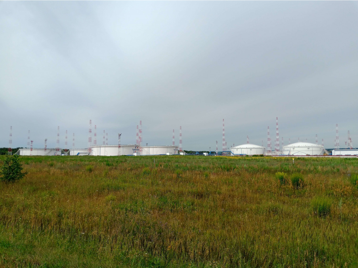 20250705 -400  082902.jpg