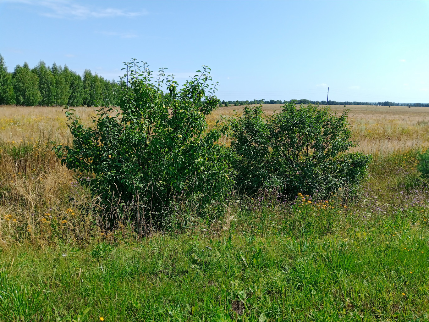 20250726 -600  104640.jpg