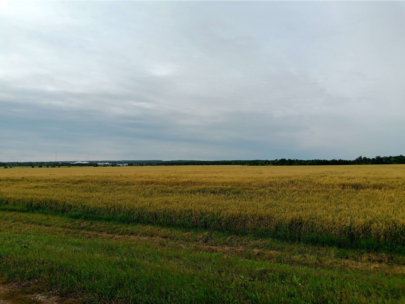 20250705 -400  082028.jpg