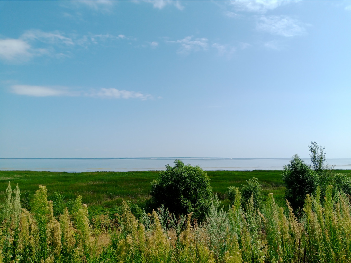20250726 -600  135155.jpg
