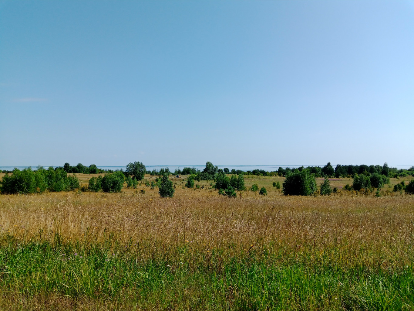 20250726 -600  134100.jpg
