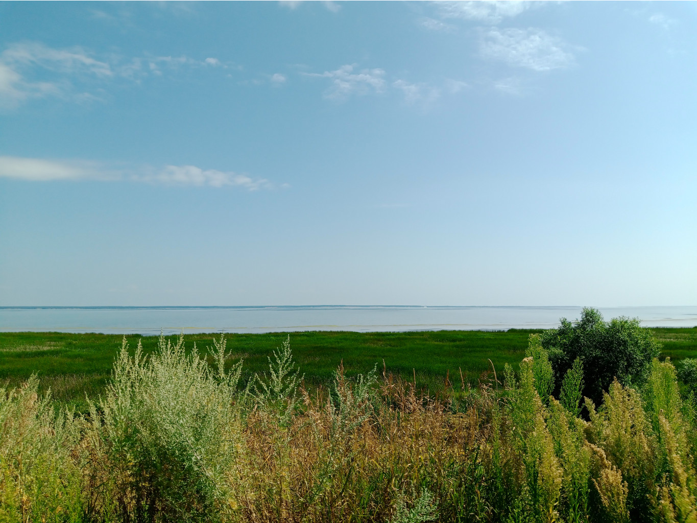 20250726 -600  135156.jpg