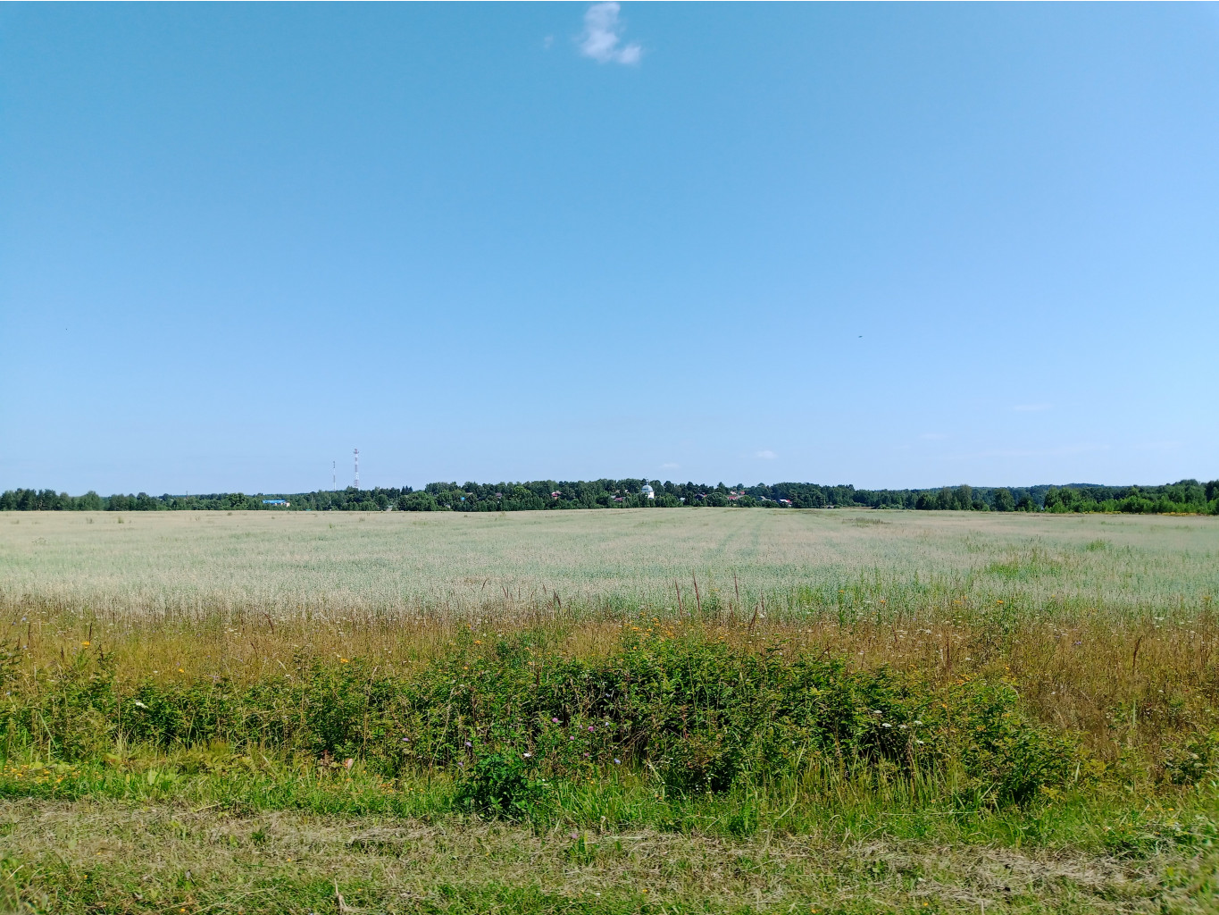 20250726 -600  114520.jpg