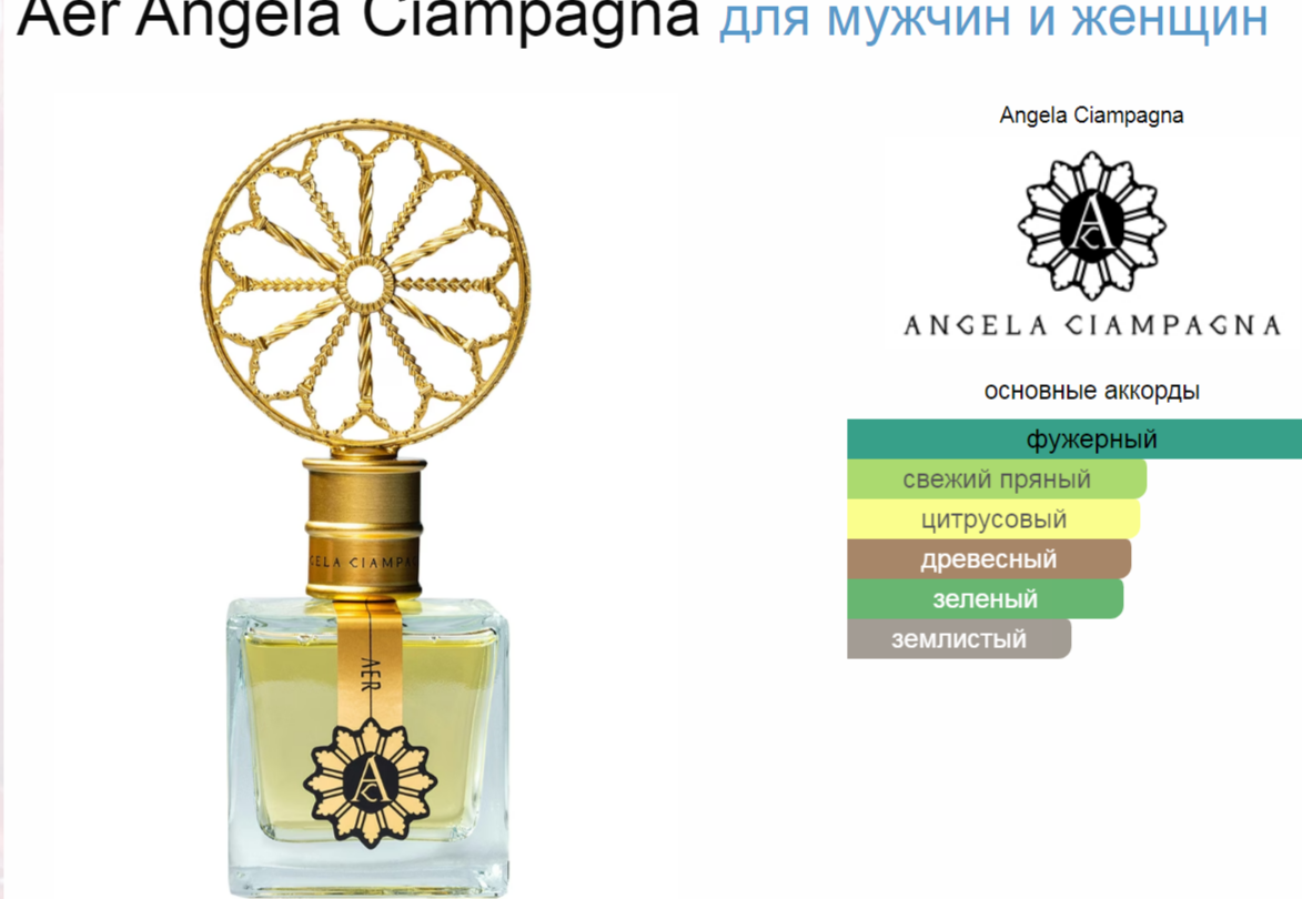 Aer Angela Ciampagna 100