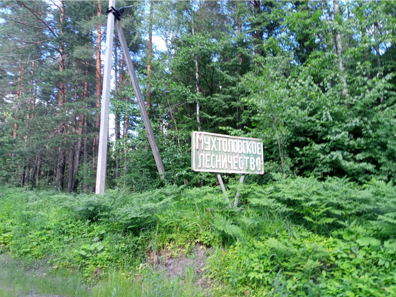 20250705 -400  161704.jpg