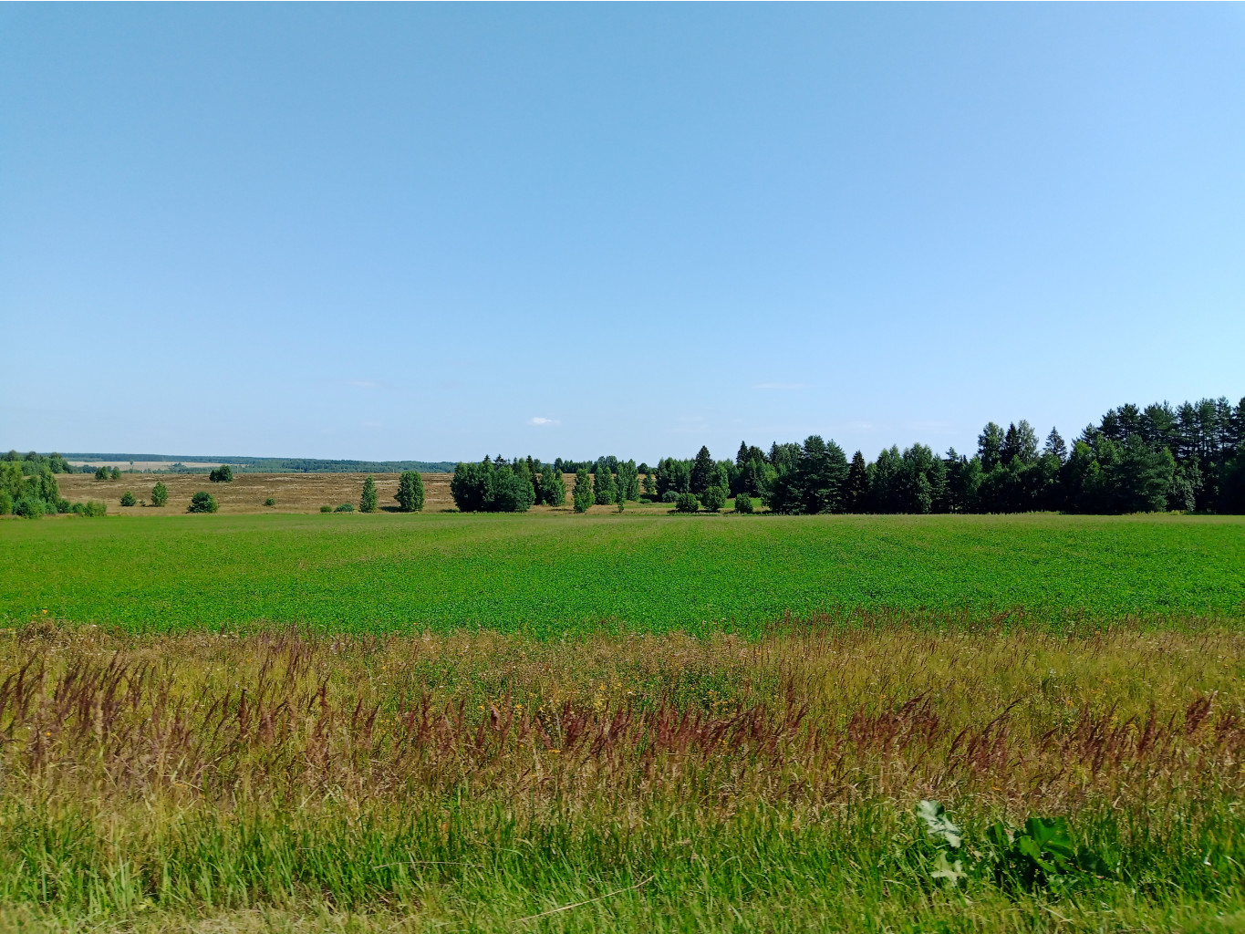 20250726 -600  114213.jpg