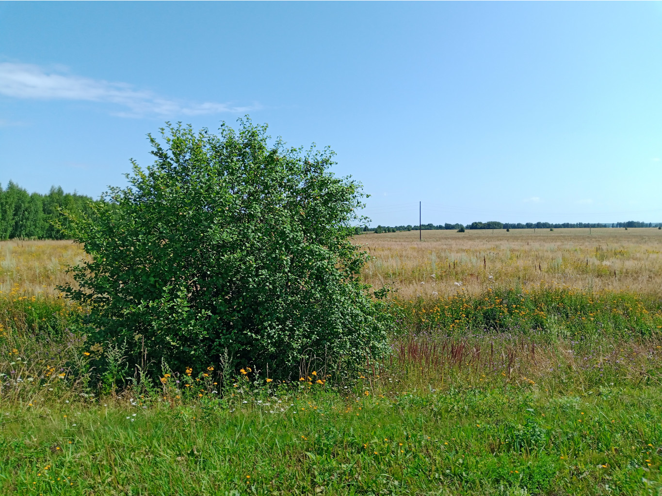 20250726 -600  104633.jpg