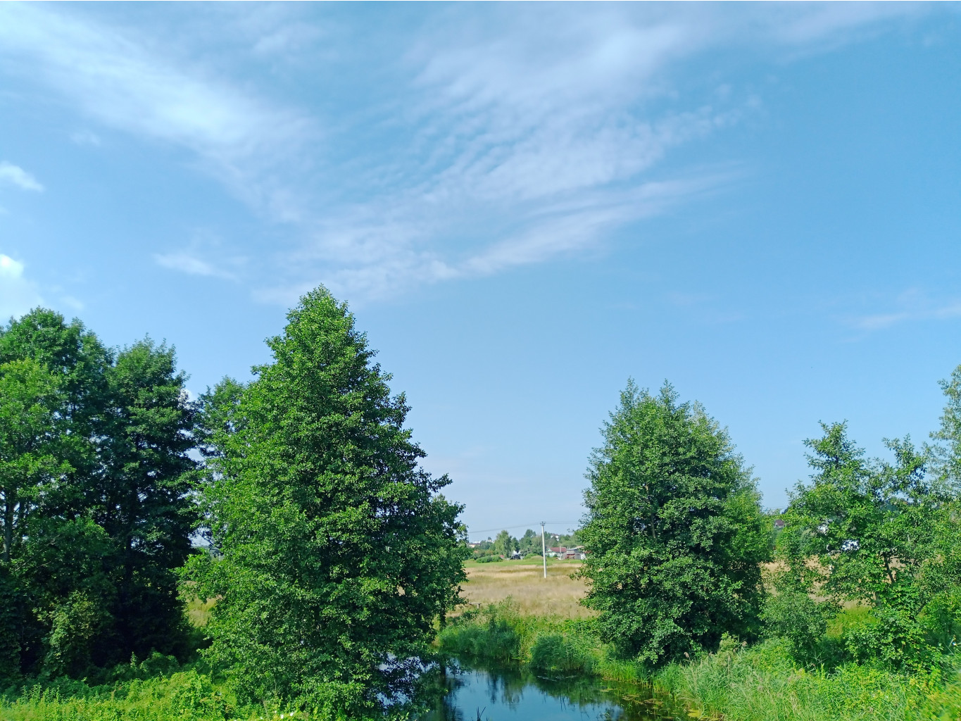 20250727 -600  102158.jpg