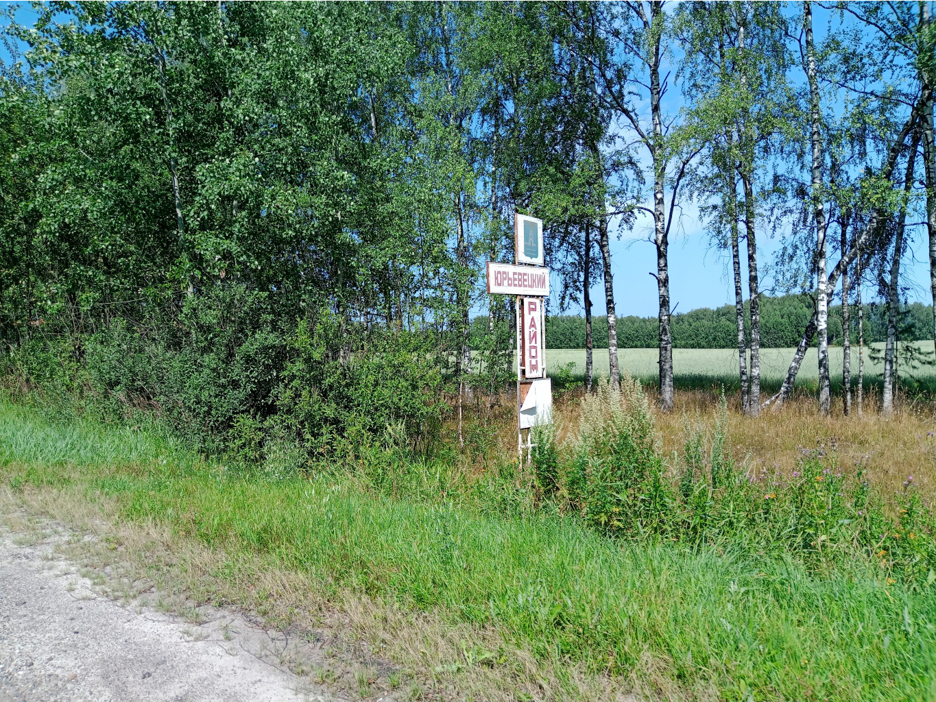 20250726 -600  130325.jpg