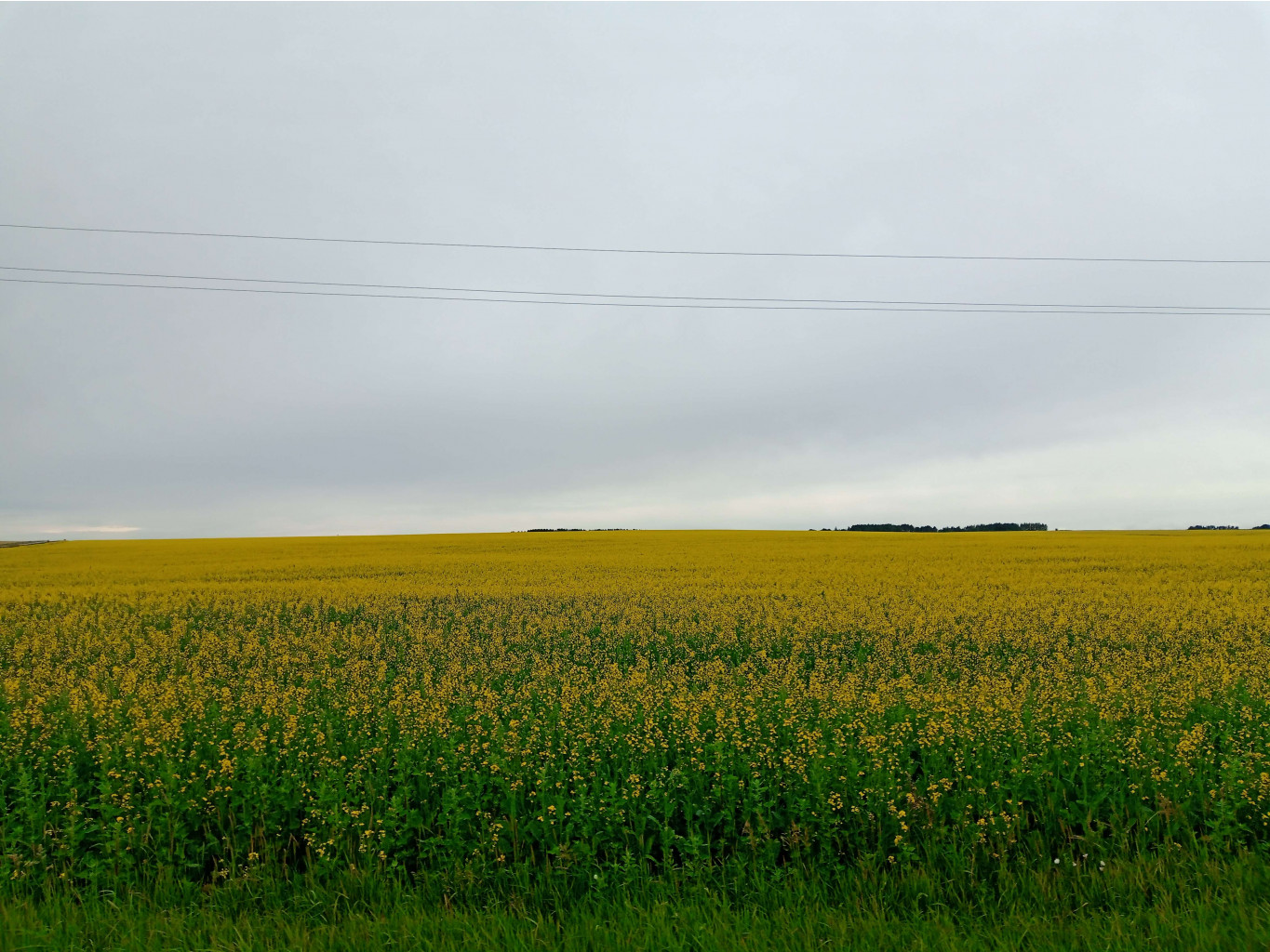 20250705 -400  102928.jpg