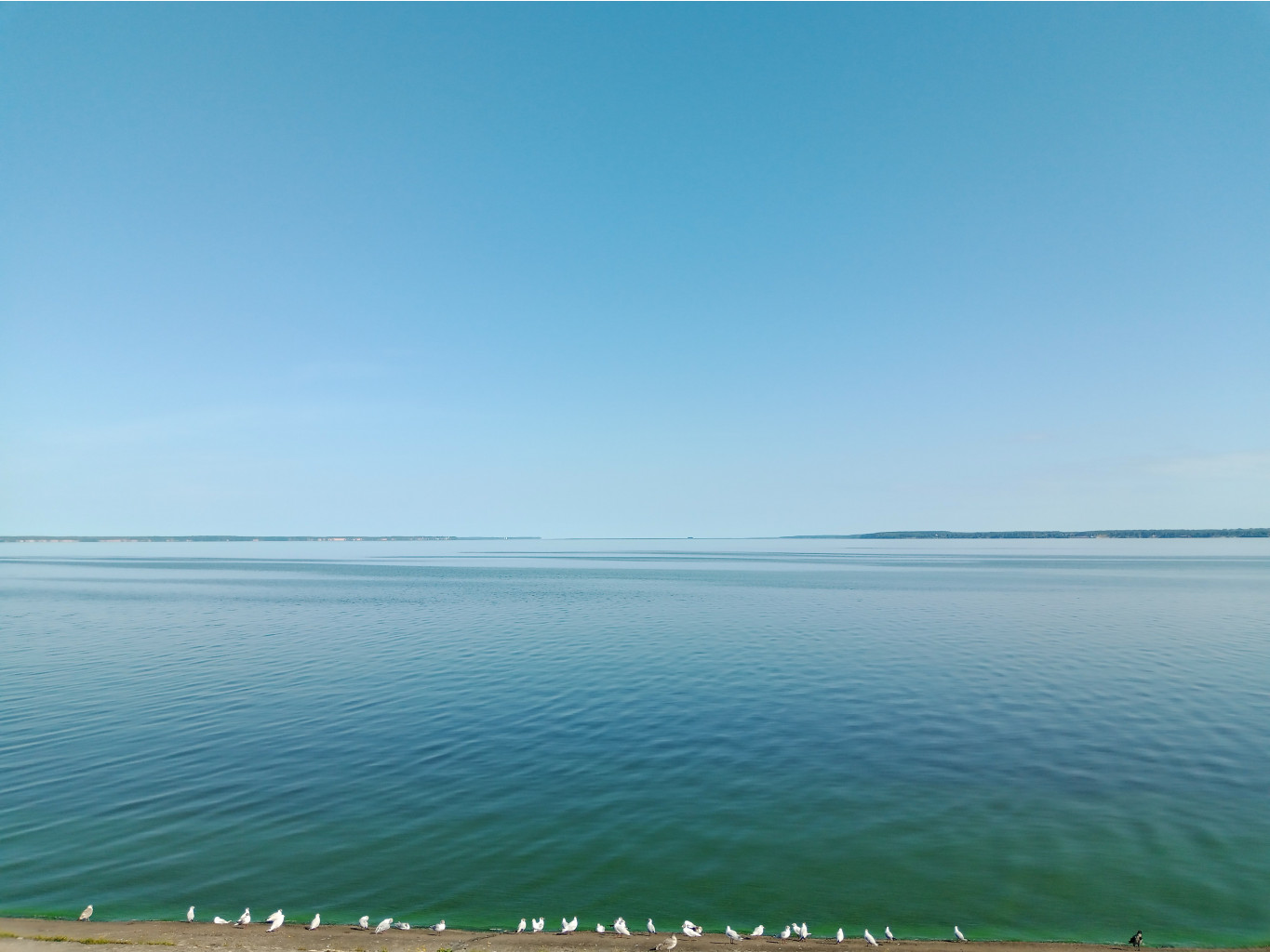 20250726 -600  090226.jpg