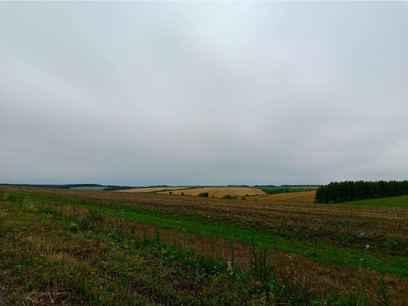 20250705 -400  094108.jpg