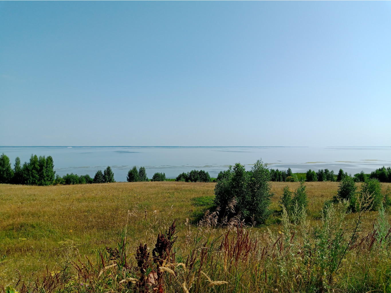 20250726 -600  134417.jpg