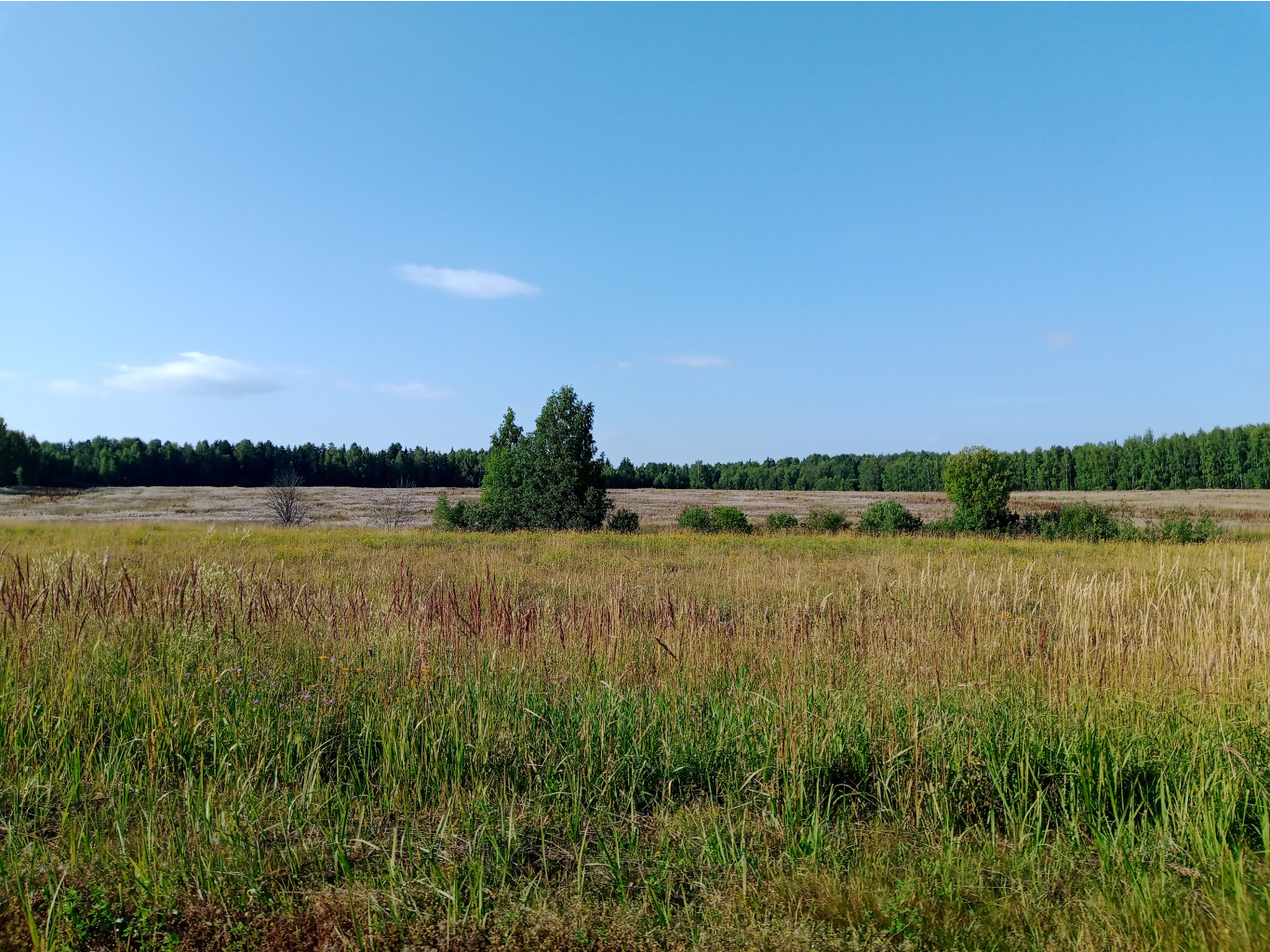 20250726 -600  164855.jpg