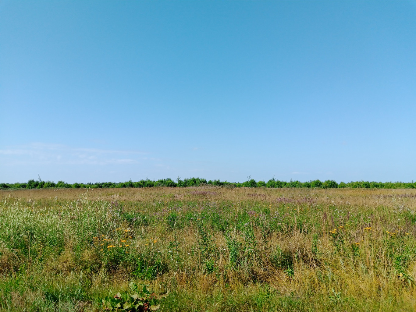20250726 -600  143629.jpg