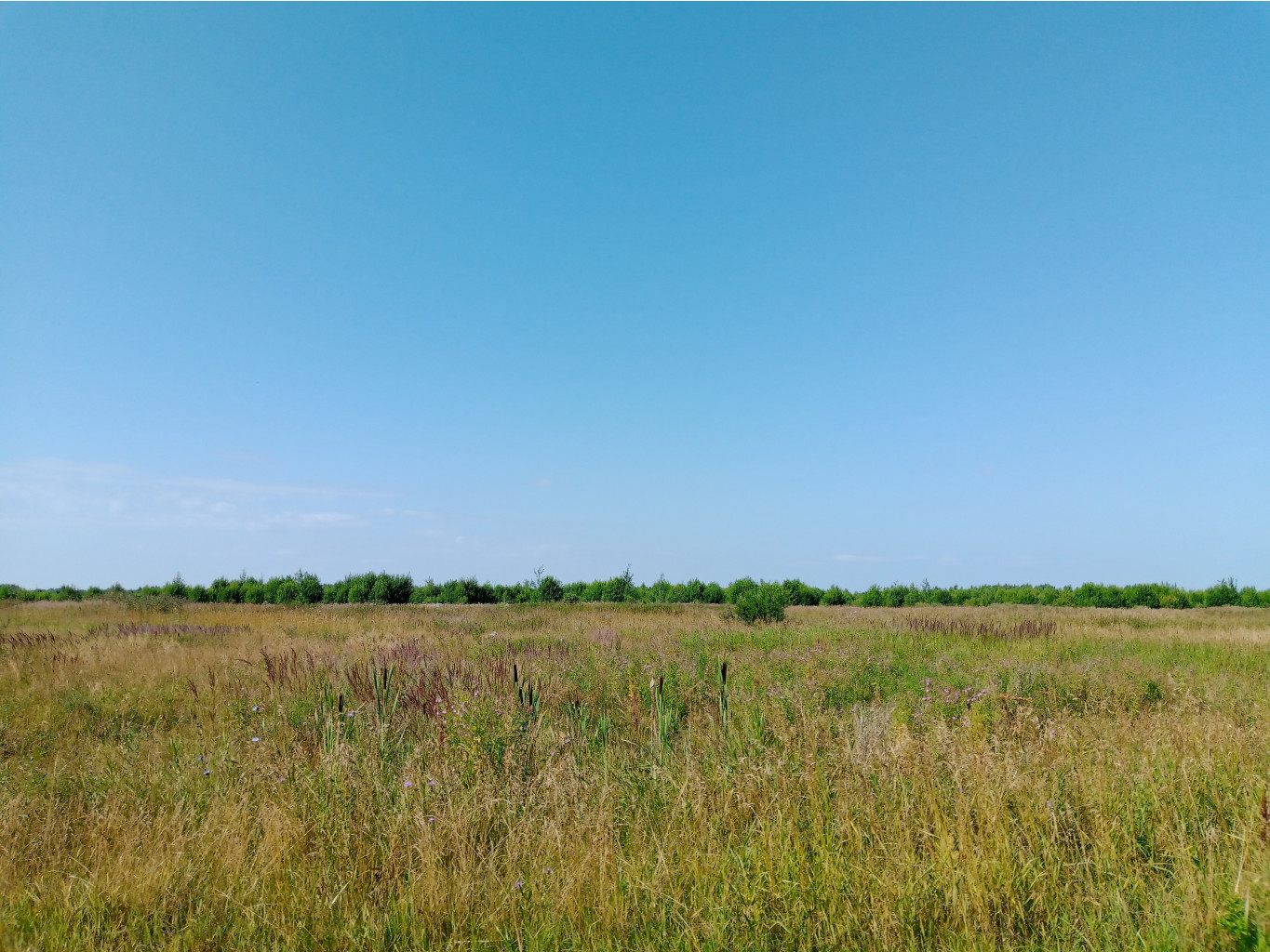 20250726 -600  143623.jpg