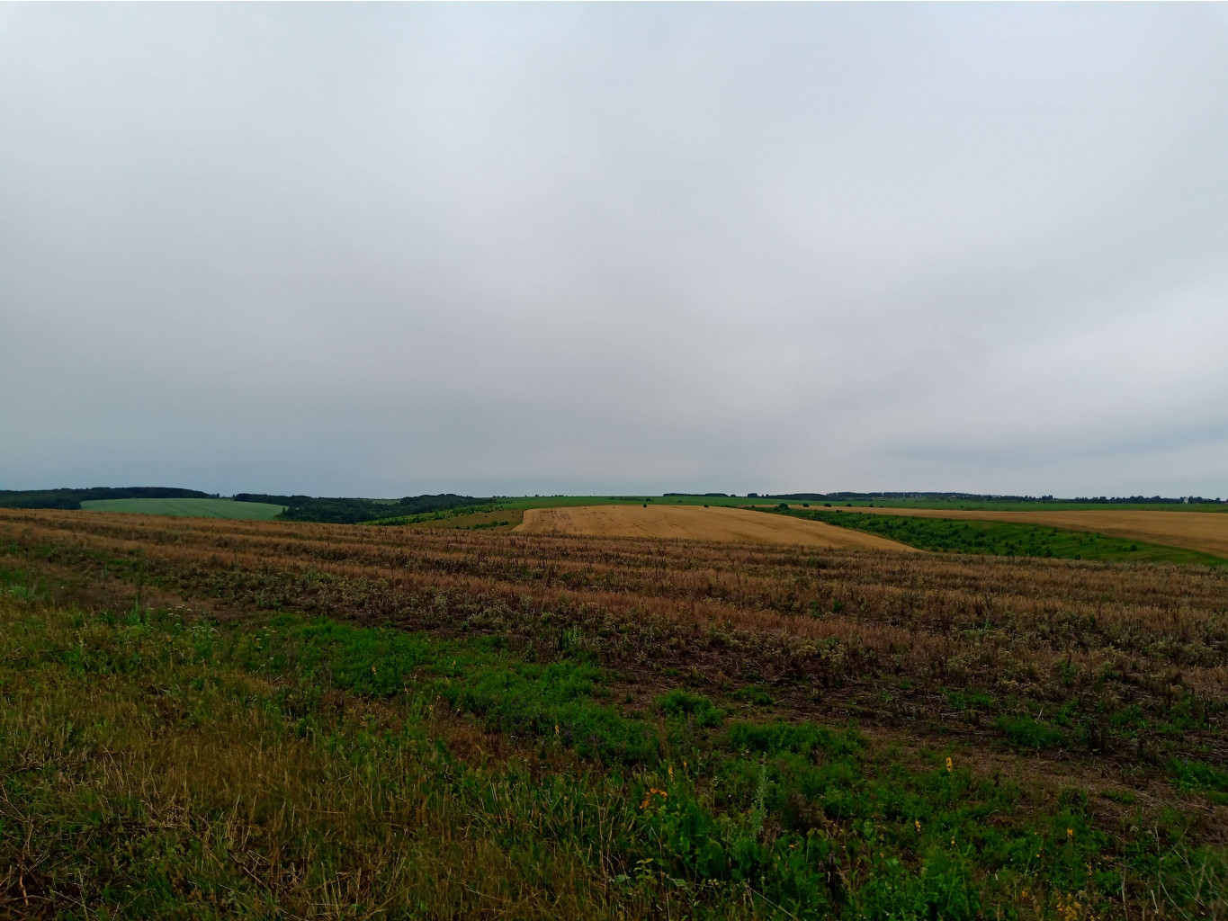 20250705 -400  094440.jpg