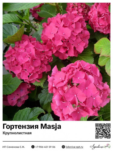   21.12.   2026!,,,,,,,,,,,,,, ,,,,,,   -4.