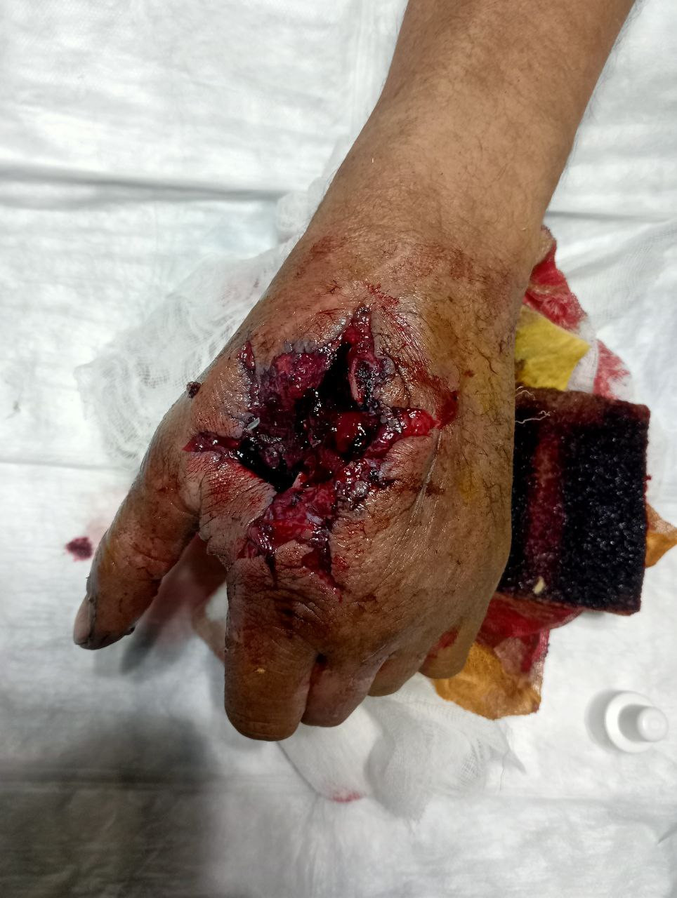 Photo 2025-06-10 20-41-14.jpg