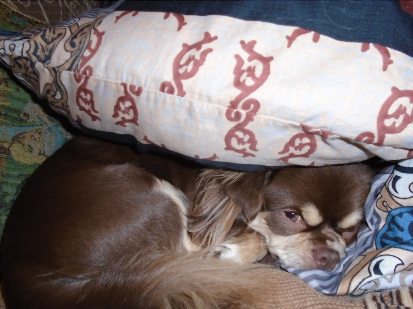 DSC09104.JPG