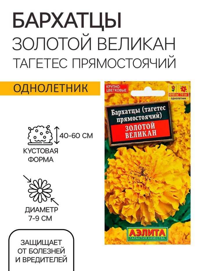    « », , 0.1  - 22,20 .