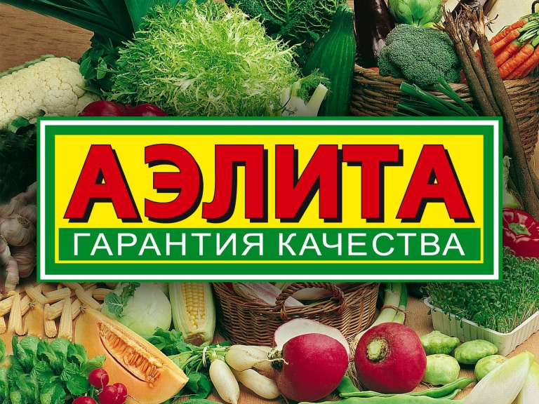   4.12. !   !    , -     ӣ      3 .-13